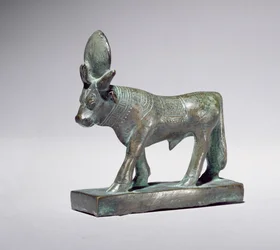 Apis Bull